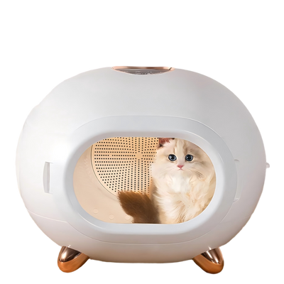 Drying box