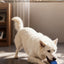 Q9-2 4th Gen Interactive Pet Ball – 3 Rolling Modes, Random Movement, Remote  Control (ETPU, 80mm)