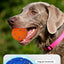 Q9-2 4th Gen Interactive Pet Ball – 3 Rolling Modes, Random Movement, Remote  Control (ETPU, 80mm)