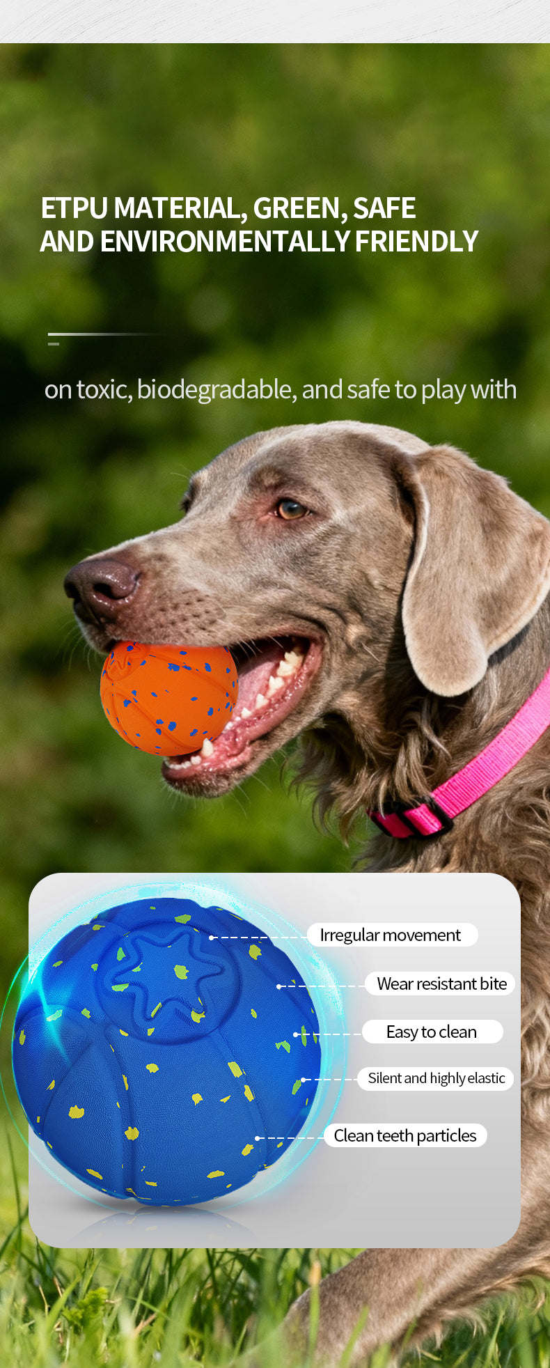 Q9-2 4th Gen Interactive Pet Ball – 3 Rolling Modes, Random Movement, Remote  Control (ETPU, 80mm)