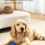 Q9-2 4th Gen Interactive Pet Ball – 3 Rolling Modes, Random Movement, Remote  Control (ETPU, 80mm)