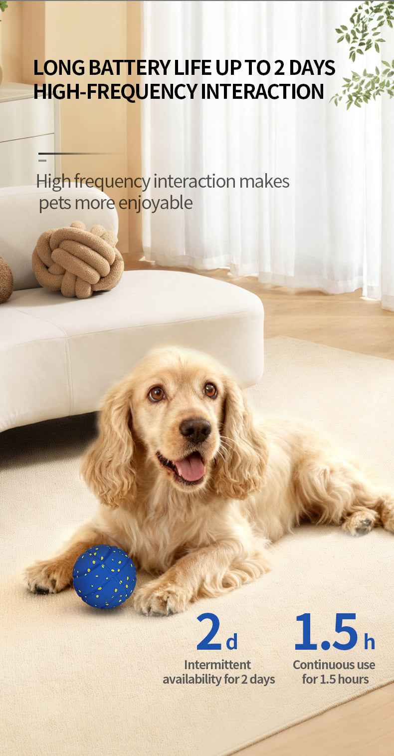 Q9-2 4th Gen Interactive Pet Ball – 3 Rolling Modes, Random Movement, Remote  Control (ETPU, 80mm)