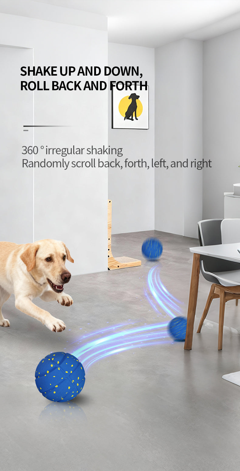 Q9-2 4th Gen Interactive Pet Ball – 3 Rolling Modes, Random Movement, Remote  Control (ETPU, 80mm)