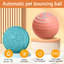 Q2 Interactive Pet Ball – 3 Vibration Modes & Flashing Lights (TPU, 5 Colors)