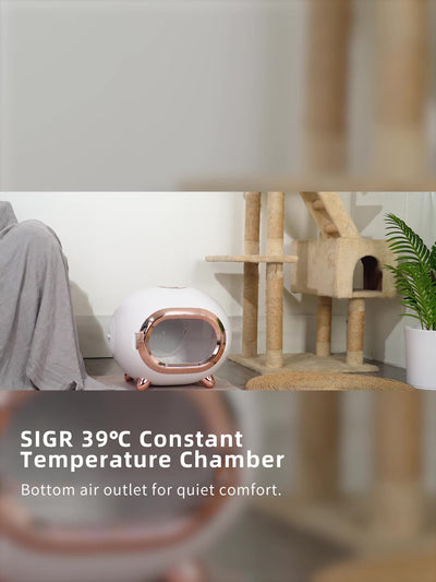 T9 Electric Clothes Dryer with 1200W Fast Heating, Ozone Deodorizing, Smart Temperature Control & 45L Capacity for Home Use
