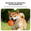 6.5cm TPU Bouncing & Rolling Dog Toy Ball – Interactive Puppy Exercise Toy