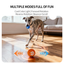 6.5cm TPU Bouncing & Rolling Dog Toy Ball – Interactive Puppy Exercise Toy