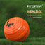 Upgraded Smart Vibration Pet Ball – 3 Intensity Modes, Flashing LED Lights & Remote Control
