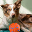 8cm ETPU Foam Pet Ball, High Elastic Bouncy Dog Chew Ball, Wear Resistant Bite Resistant Interactive Toy for Medium Large Dogs
