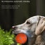 8cm ETPU Foam Pet Ball, High Elastic Bouncy Dog Chew Ball, Wear Resistant Bite Resistant Interactive Toy for Medium Large Dogs