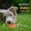 Upgraded Smart Vibration Pet Ball – 3 Intensity Modes, Flashing LED Lights & Remote Control