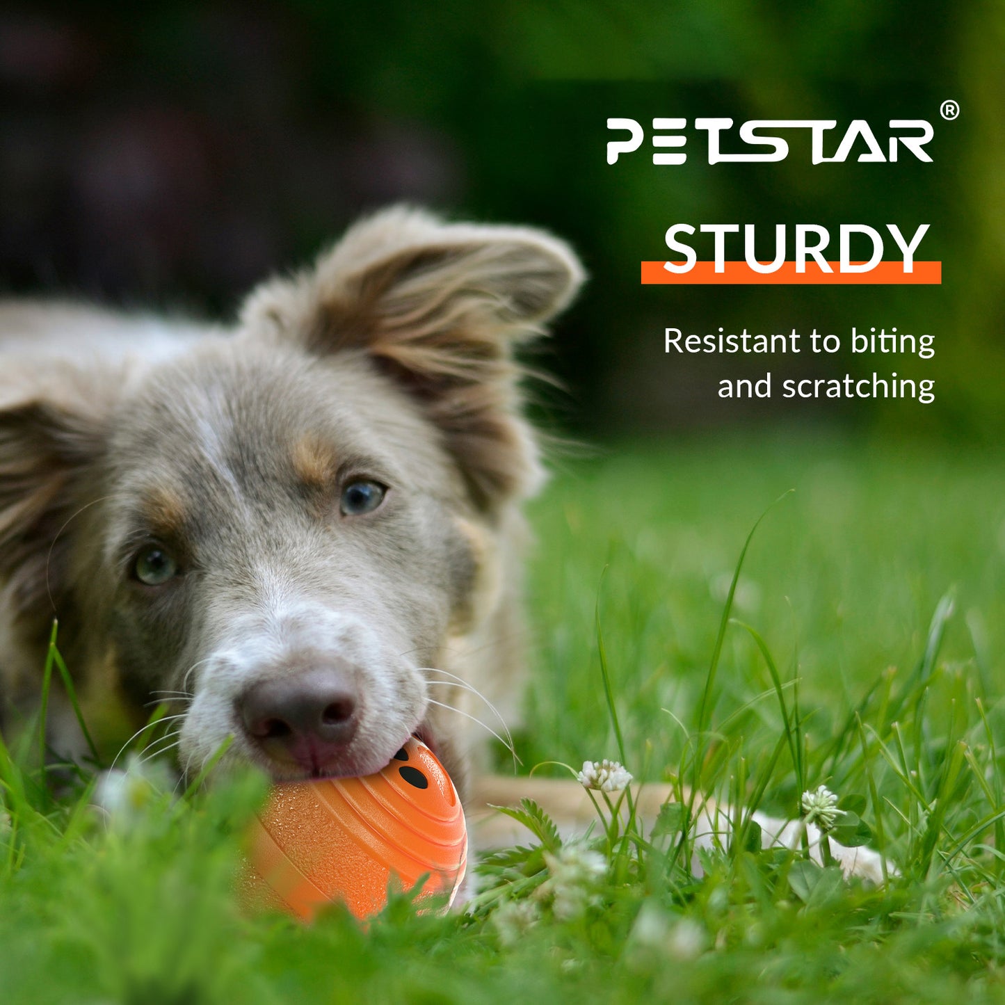 Upgraded Smart Vibration Pet Ball – 3 Intensity Modes, Flashing LED Lights & Remote Control