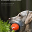 Upgraded Smart Vibration Pet Ball – 3 Intensity Modes, Flashing LED Lights & Remote Control