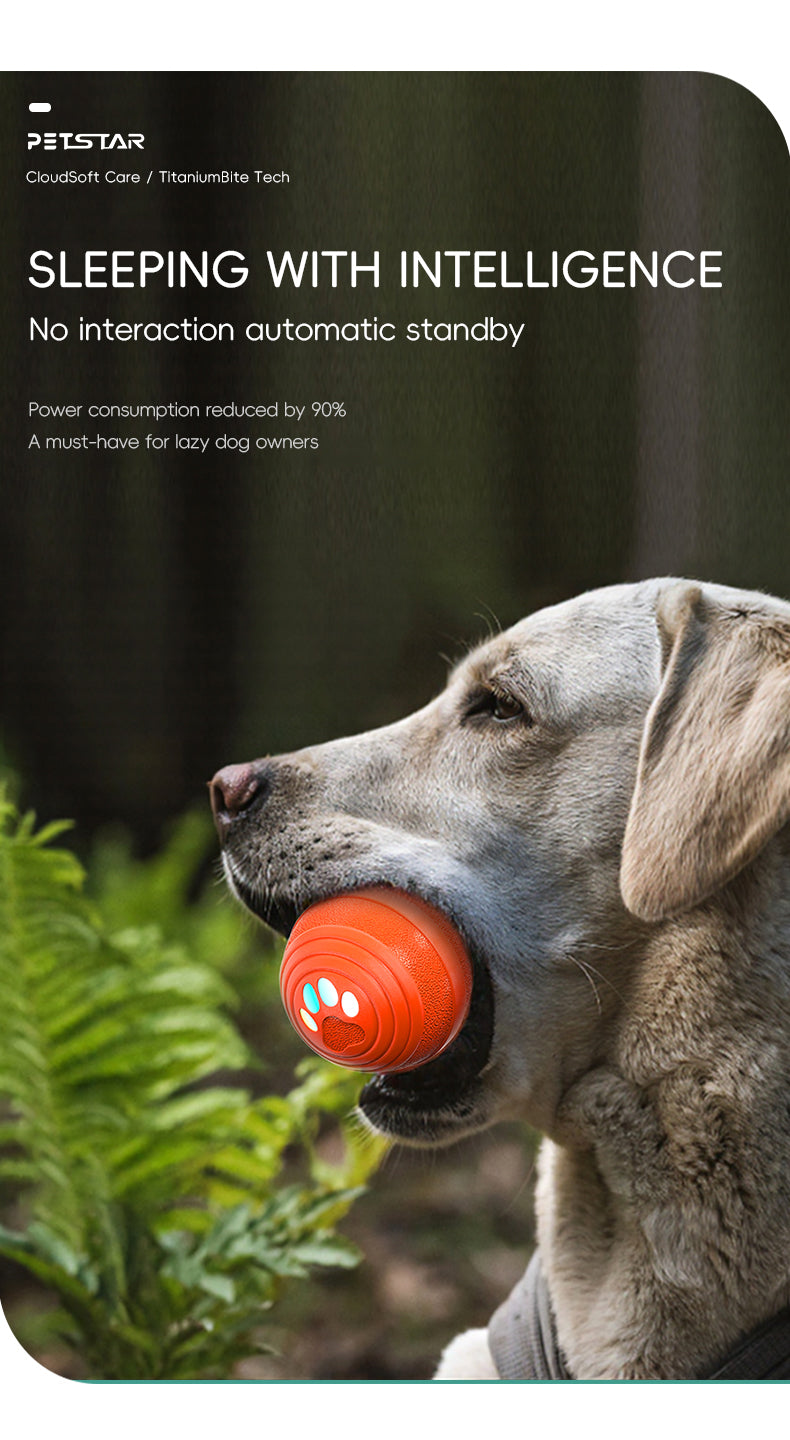 Upgraded Smart Vibration Pet Ball – 3 Intensity Modes, Flashing LED Lights & Remote Control