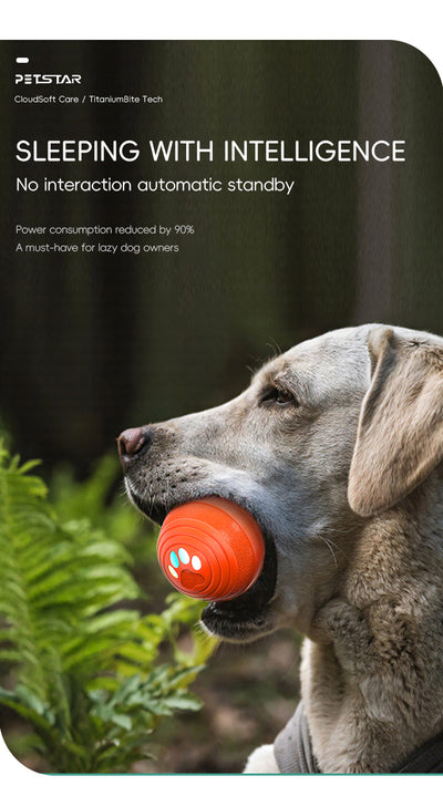 Upgraded Smart Vibration Pet Ball – 3 Intensity Modes, Flashing LED Lights & Remote Control
