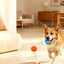 3 Vibration Modes + Flashing LED — Upgraded Smart Puppy Toy Boucing dog ball