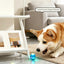 Pet Ball Q11 (5th Gen) – Rechargeable Interactive Toy with Remote Control, Flashing Light & 3 Vibration Modes for Dogs/Cats