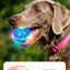Pet Ball Q11 (5th Gen) – Rechargeable Interactive Toy with Remote Control, Flashing Light & 3 Vibration Modes for Dogs/Cats