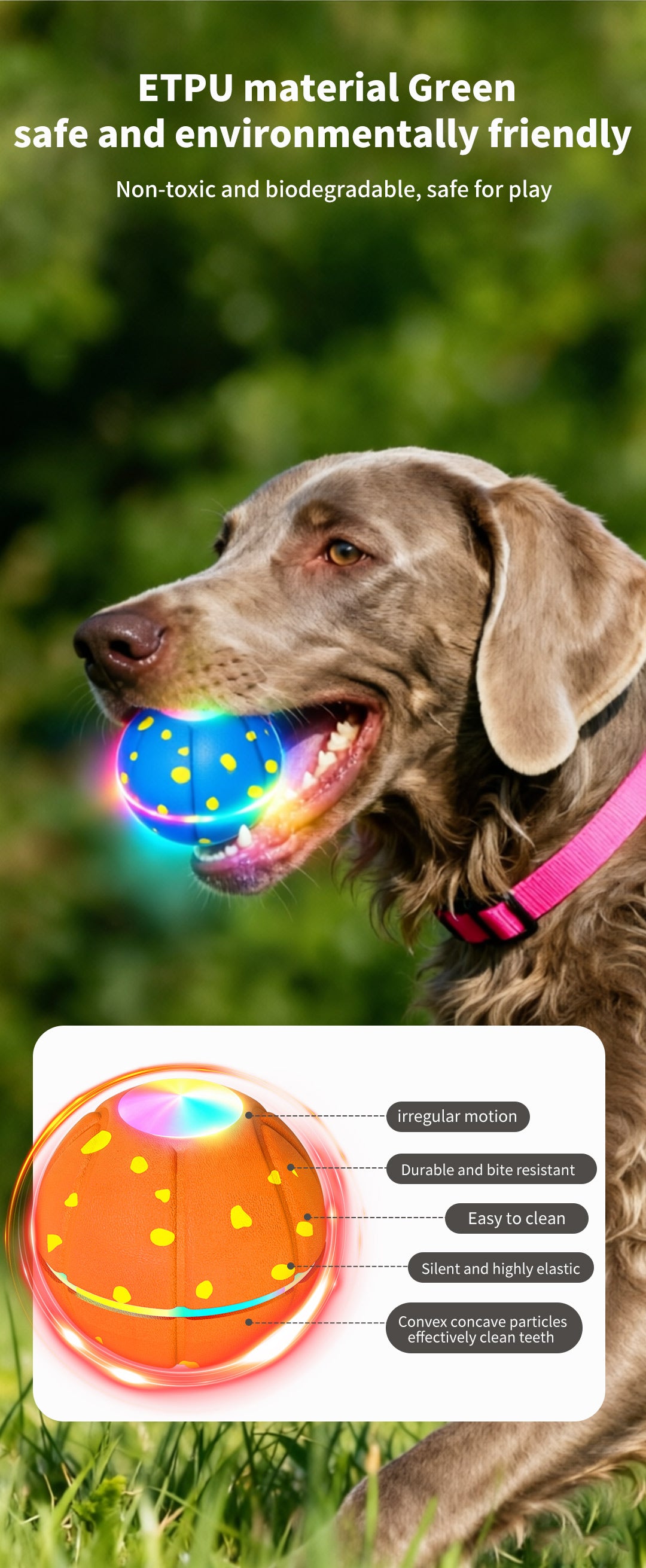Pet Ball Q11 (5th Gen) – Rechargeable Interactive Toy with Remote Control, Flashing Light & 3 Vibration Modes for Dogs/Cats