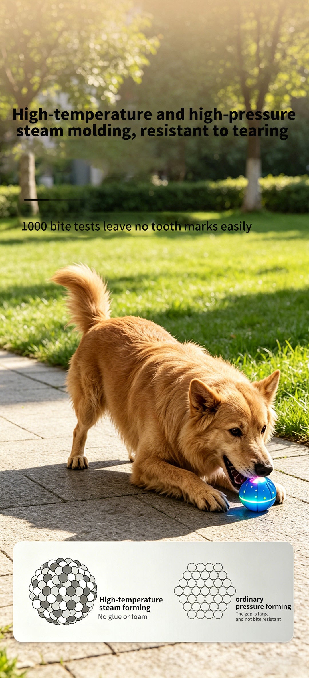 Pet Ball Q11 (5th Gen) – Rechargeable Interactive Toy with Remote Control, Flashing Light & 3 Vibration Modes for Dogs/Cats