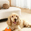 Pet Ball Q11 (5th Gen) – Rechargeable Interactive Toy with Remote Control, Flashing Light & 3 Vibration Modes for Dogs/Cats