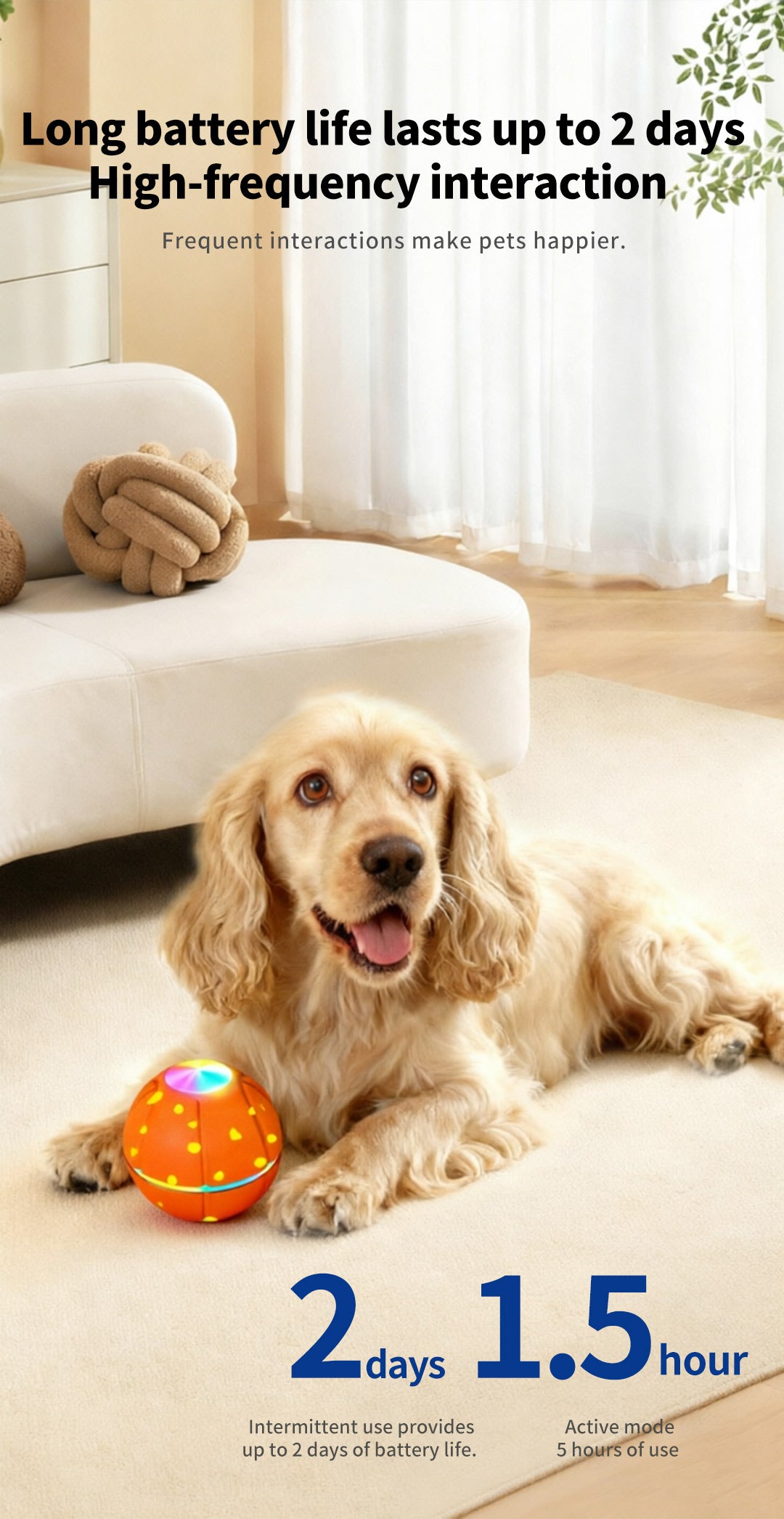 Pet Ball Q11 (5th Gen) – Rechargeable Interactive Toy with Remote Control, Flashing Light & 3 Vibration Modes for Dogs/Cats