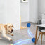 Pet Ball Q11 (5th Gen) – Rechargeable Interactive Toy with Remote Control, Flashing Light & 3 Vibration Modes for Dogs/Cats
