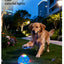 Pet Ball Q11 (5th Gen) – Rechargeable Interactive Toy with Remote Control, Flashing Light & 3 Vibration Modes for Dogs/Cats