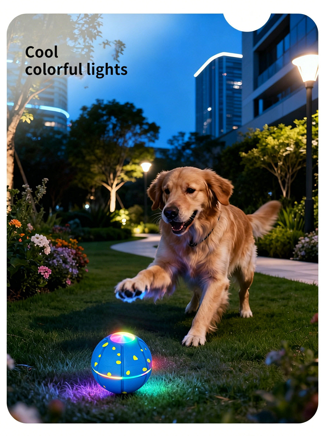 Pet Ball Q11 (5th Gen) – Rechargeable Interactive Toy with Remote Control, Flashing Light & 3 Vibration Modes for Dogs/Cats