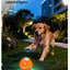 Pet Ball Q11 (5th Gen) – Rechargeable Interactive Toy with Remote Control, Flashing Light & 3 Vibration Modes for Dogs/Cats