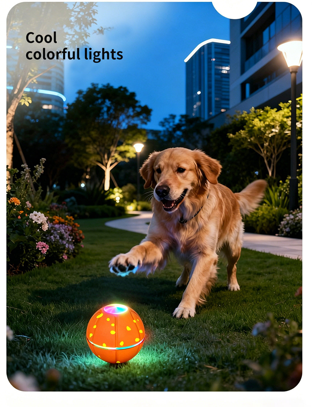 Pet Ball Q11 (5th Gen) – Rechargeable Interactive Toy with Remote Control, Flashing Light & 3 Vibration Modes for Dogs/Cats