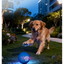 6.5cm TPU Bouncing & Rolling Dog Toy Ball – Interactive Puppy Exercise Toy
