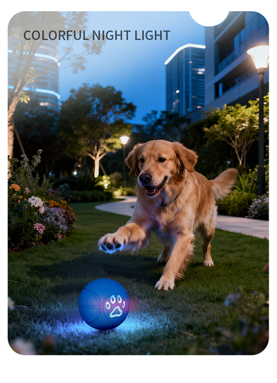 6.5cm TPU Bouncing & Rolling Dog Toy Ball – Interactive Puppy Exercise Toy