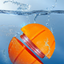 6.5cm TPU Bouncing & Rolling Dog Toy Ball – Interactive Puppy Exercise Toy