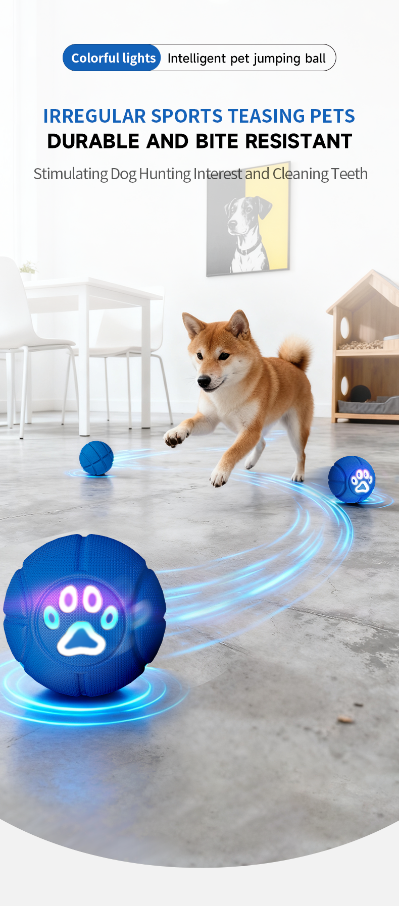 6.5cm TPU Bouncing & Rolling Dog Toy Ball – Interactive Puppy Exercise Toy