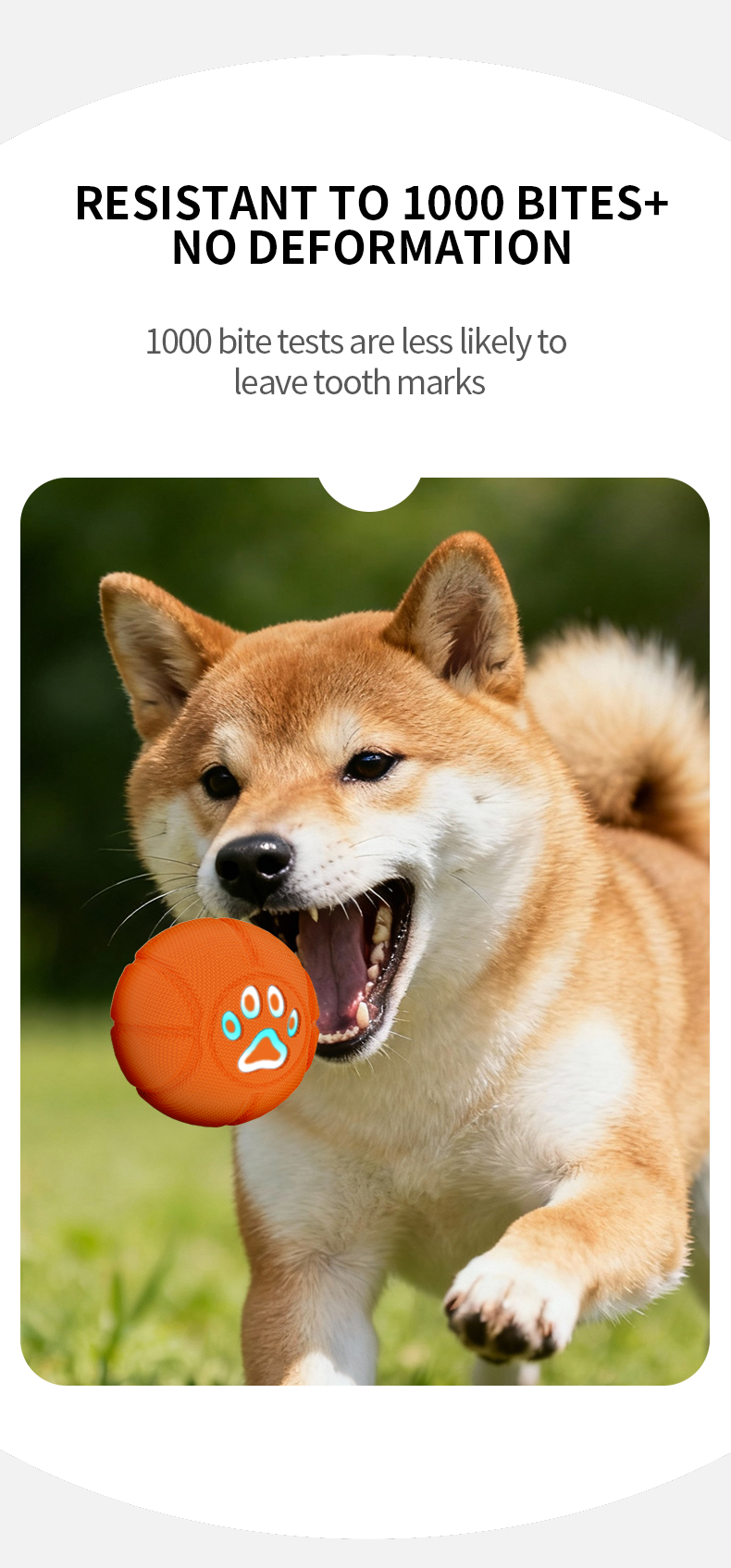6.5cm TPU Bouncing & Rolling Dog Toy Ball – Interactive Puppy Exercise Toy