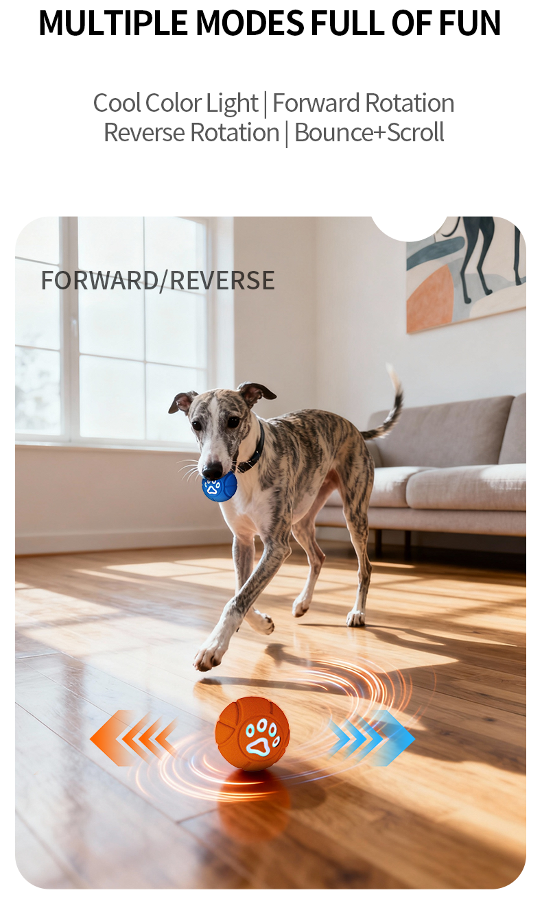 6.5cm TPU Bouncing & Rolling Dog Toy Ball – Interactive Puppy Exercise Toy