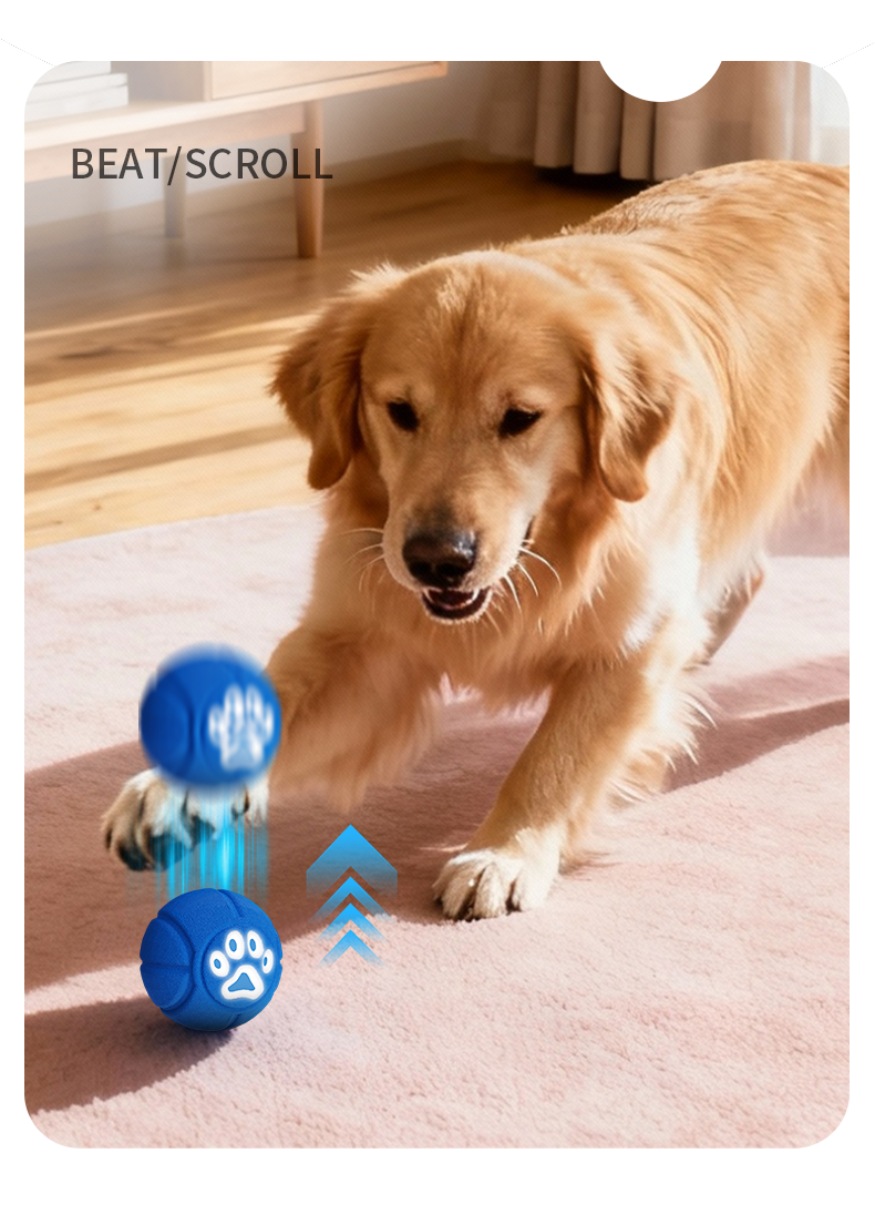 6.5cm TPU Bouncing & Rolling Dog Toy Ball – Interactive Puppy Exercise Toy