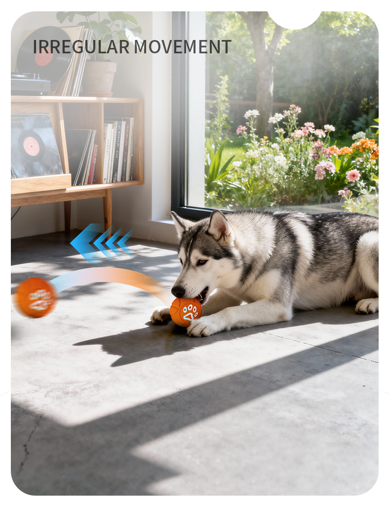 6.5cm TPU Bouncing & Rolling Dog Toy Ball – Interactive Puppy Exercise Toy