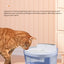 Automatic Pet Water Dispenser – Infrared Cat Sensor, 3 Water Modes, Removable Tank & Filter for Easy Cleaning