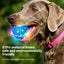 3 Vibration Modes + Flashing LED — Upgraded Smart Puppy Toy Boucing dog ball