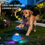 3 Vibration Modes + Flashing LED — Upgraded Smart Puppy Toy Boucing dog ball