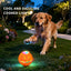 Pet Ball Q11 (5th Gen) – Rechargeable Interactive Toy with Remote Control, Flashing Light & 3 Vibration Modes for Dogs/Cats